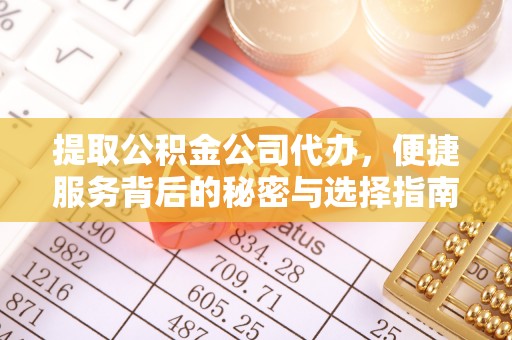 隆子提取公积金公司代办，便捷服务背后的秘密与选择指南