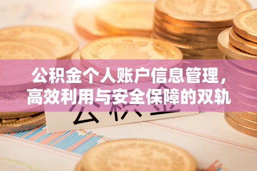 隆子公积金个人账户信息管理，高效利用与安全保障的双轨并行