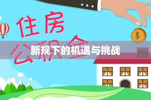 隆子新规下的机遇与挑战