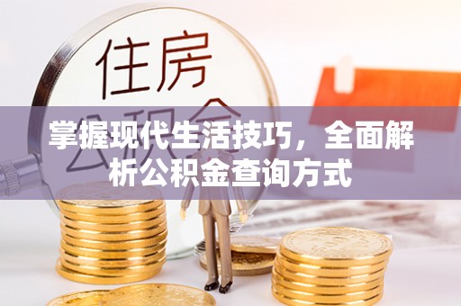 隆子掌握现代生活技巧，全面解析公积金查询方式