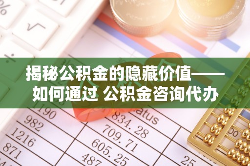 隆子揭秘公积金的隐藏价值——如何通过 公积金咨询代办提取 优化财富管理