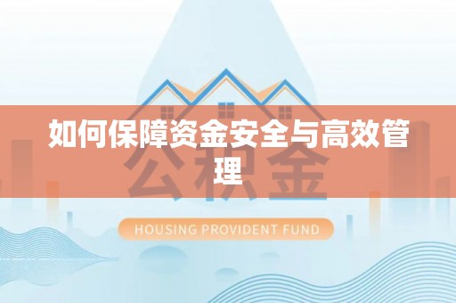 隆子如何保障资金安全与高效管理
