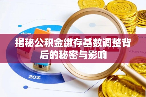 隆子揭秘公积金缴存基数调整背后的秘密与影响