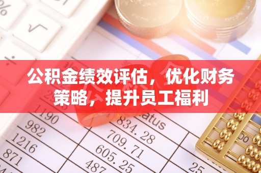 隆子公积金绩效评估，优化财务策略，提升员工福利