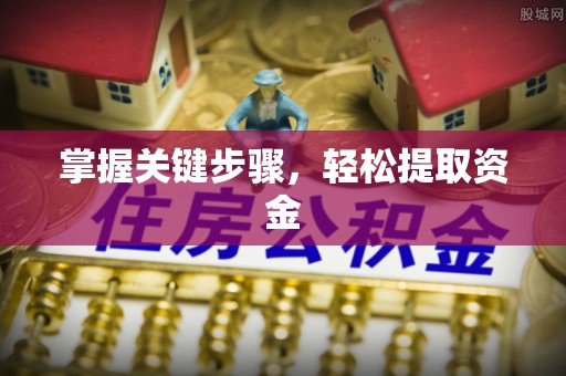 隆子掌握关键步骤，轻松提取资金