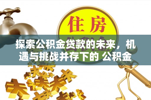 隆子探索公积金贷款的未来，机遇与挑战并存下的 公积金贷款风险防控