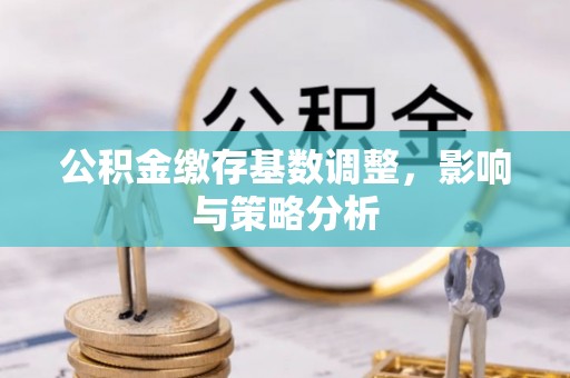 隆子公积金缴存基数调整，影响与策略分析
