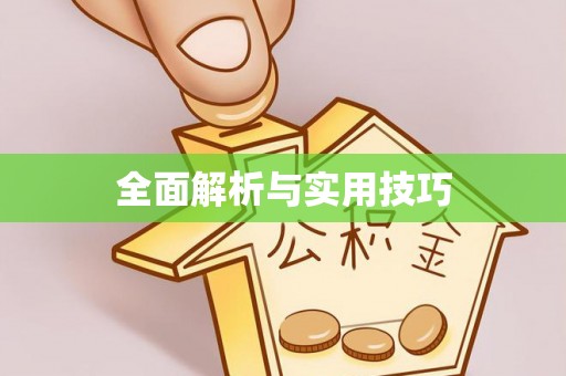 隆子全面解析与实用技巧