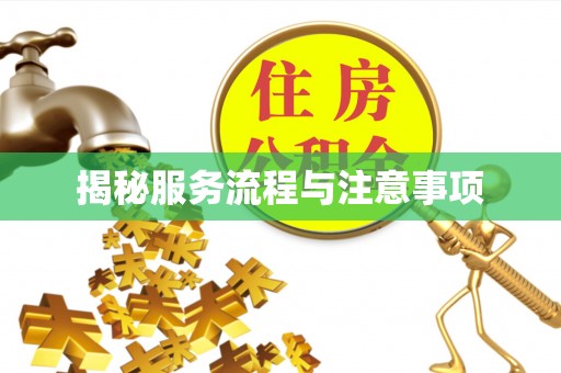 隆子揭秘服务流程与注意事项