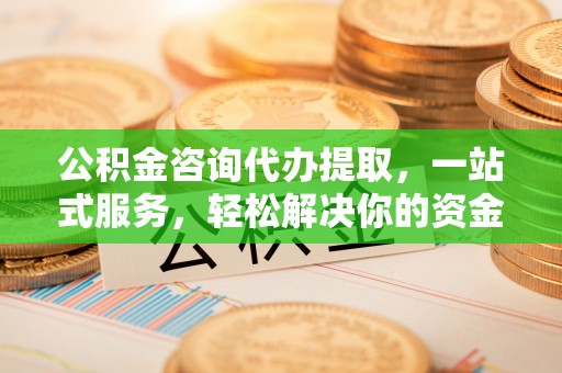 隆子公积金咨询代办提取，一站式服务，轻松解决你的资金难题
