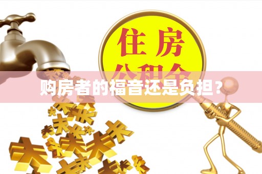 隆子购房者的福音还是负担？