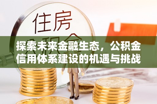 隆子探索未来金融生态，公积金信用体系建设的机遇与挑战