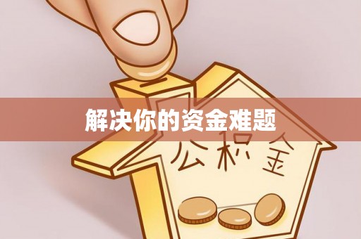 隆子解决你的资金难题