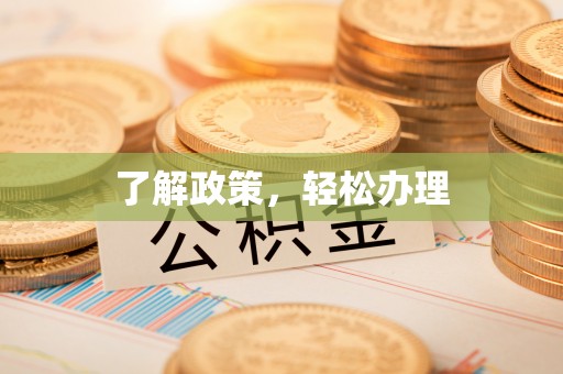 隆子了解政策，轻松办理