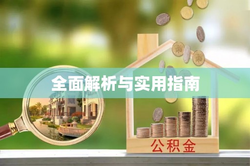 隆子全面解析与实用指南
