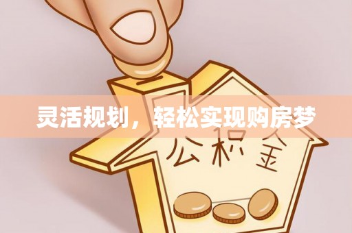 隆子灵活规划，轻松实现购房梦
