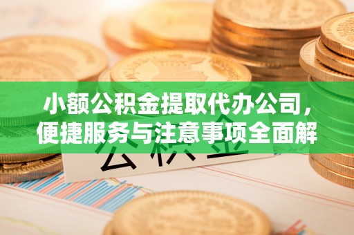 隆子小额公积金提取代办公司，便捷服务与注意事项全面解析
