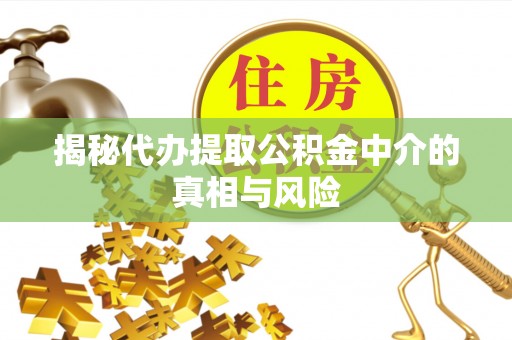 隆子揭秘代办提取公积金中介的真相与风险
