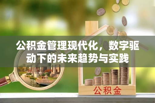 隆子公积金管理现代化，数字驱动下的未来趋势与实践