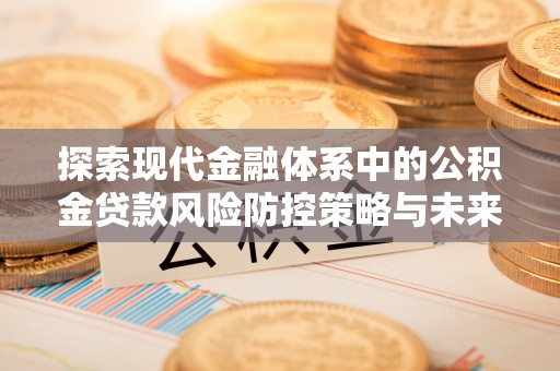 隆子探索现代金融体系中的公积金贷款风险防控策略与未来发展趋势