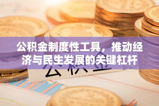 隆子公积金制度性工具，推动经济与民生发展的关键杠杆