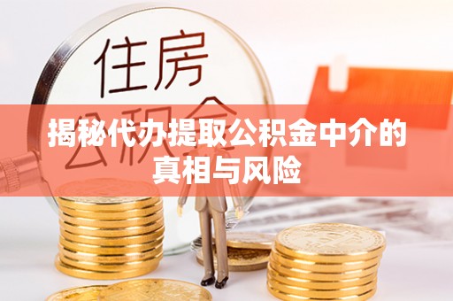 隆子揭秘代办提取公积金中介的真相与风险