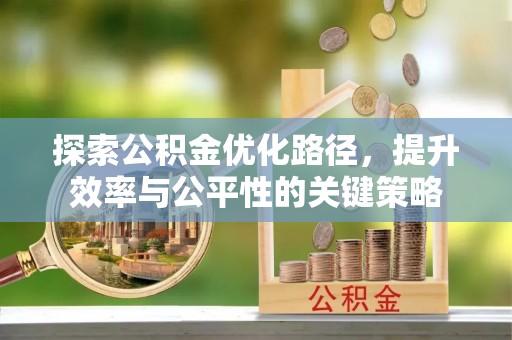 隆子探索公积金优化路径，提升效率与公平性的关键策略