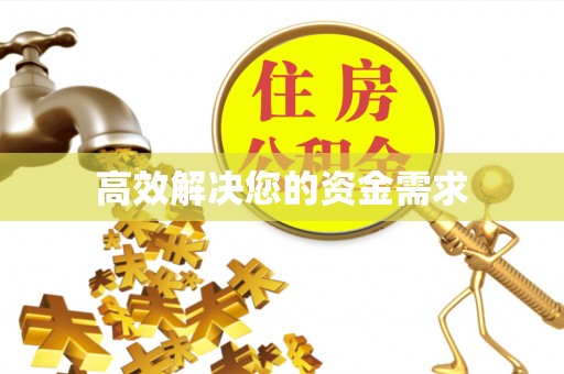 隆子高效解决您的资金需求