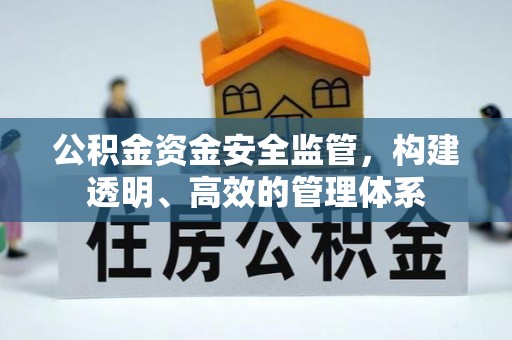 隆子公积金资金安全监管，构建透明、高效的管理体系