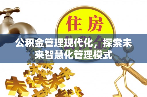 隆子公积金管理现代化，探索未来智慧化管理模式