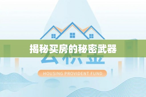 隆子揭秘买房的秘密武器
