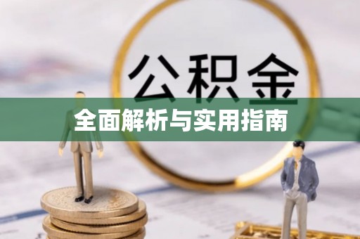 隆子全面解析与实用指南
