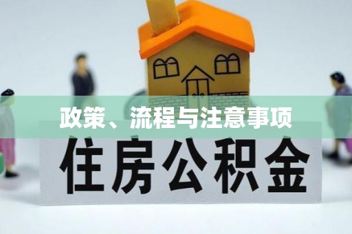 隆子政策、流程与注意事项