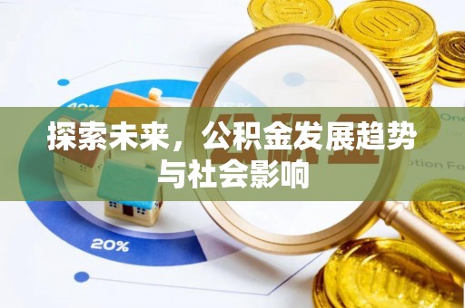 隆子探索未来，公积金发展趋势与社会影响