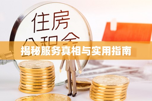 隆子揭秘服务真相与实用指南
