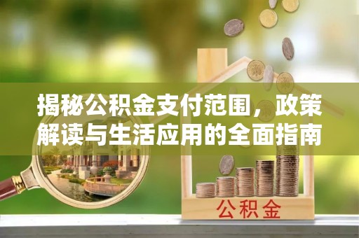 隆子揭秘公积金支付范围，政策解读与生活应用的全面指南