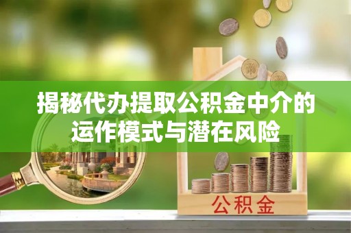 隆子揭秘代办提取公积金中介的运作模式与潜在风险