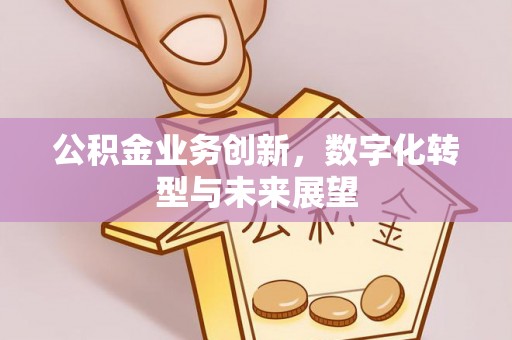 隆子公积金业务创新，数字化转型与未来展望