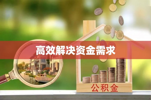 隆子高效解决资金需求
