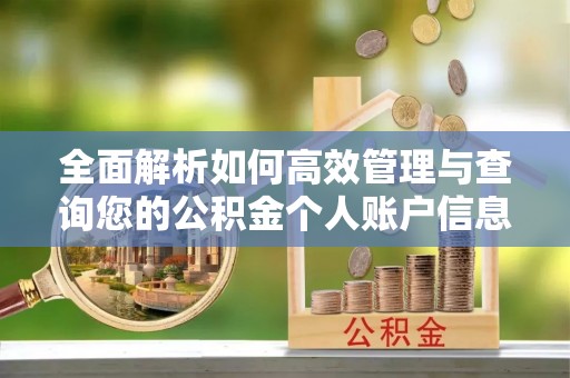 隆子全面解析如何高效管理与查询您的公积金个人账户信息