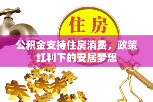 隆子公积金支持住房消费，政策红利下的安居梦想