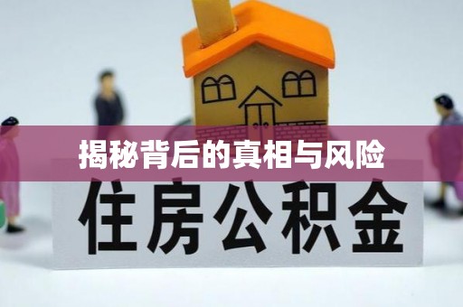 隆子揭秘背后的真相与风险