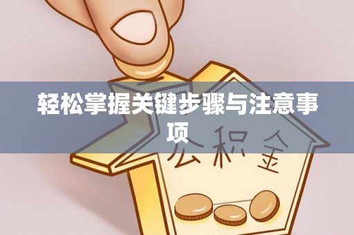 隆子轻松掌握关键步骤与注意事项
