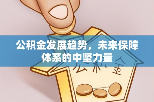 隆子公积金发展趋势，未来保障体系的中坚力量