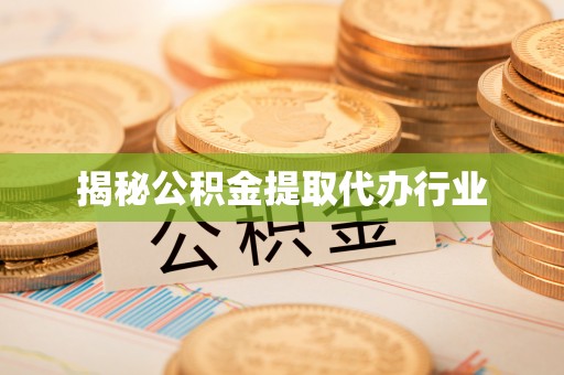 隆子揭秘公积金提取代办行业