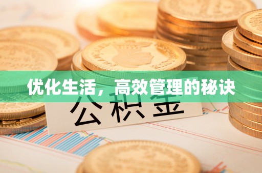隆子优化生活，高效管理的秘诀