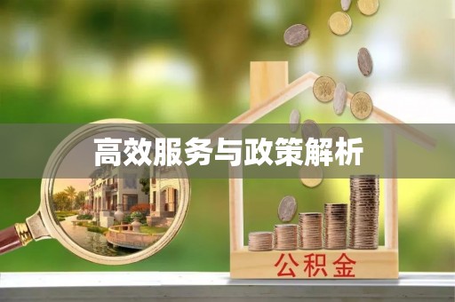 隆子高效服务与政策解析