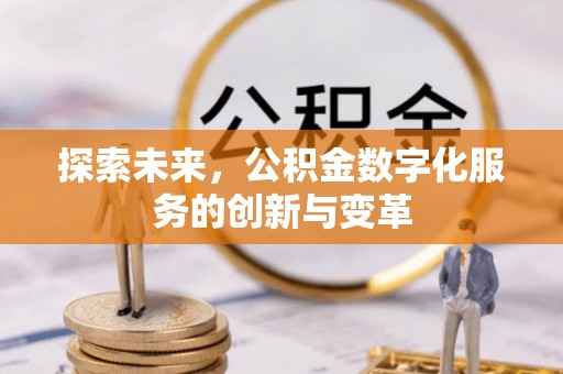 隆子探索未来，公积金数字化服务的创新与变革