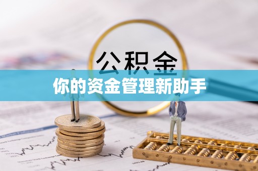 隆子你的资金管理新助手