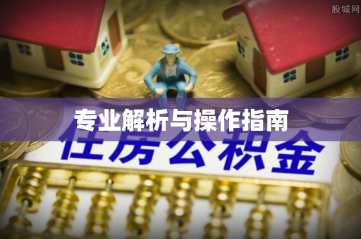 隆子专业解析与操作指南